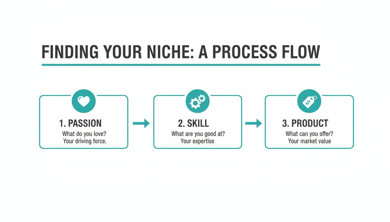 Infographic illustrating the process of finding your niche, covering passion, skill, and product.